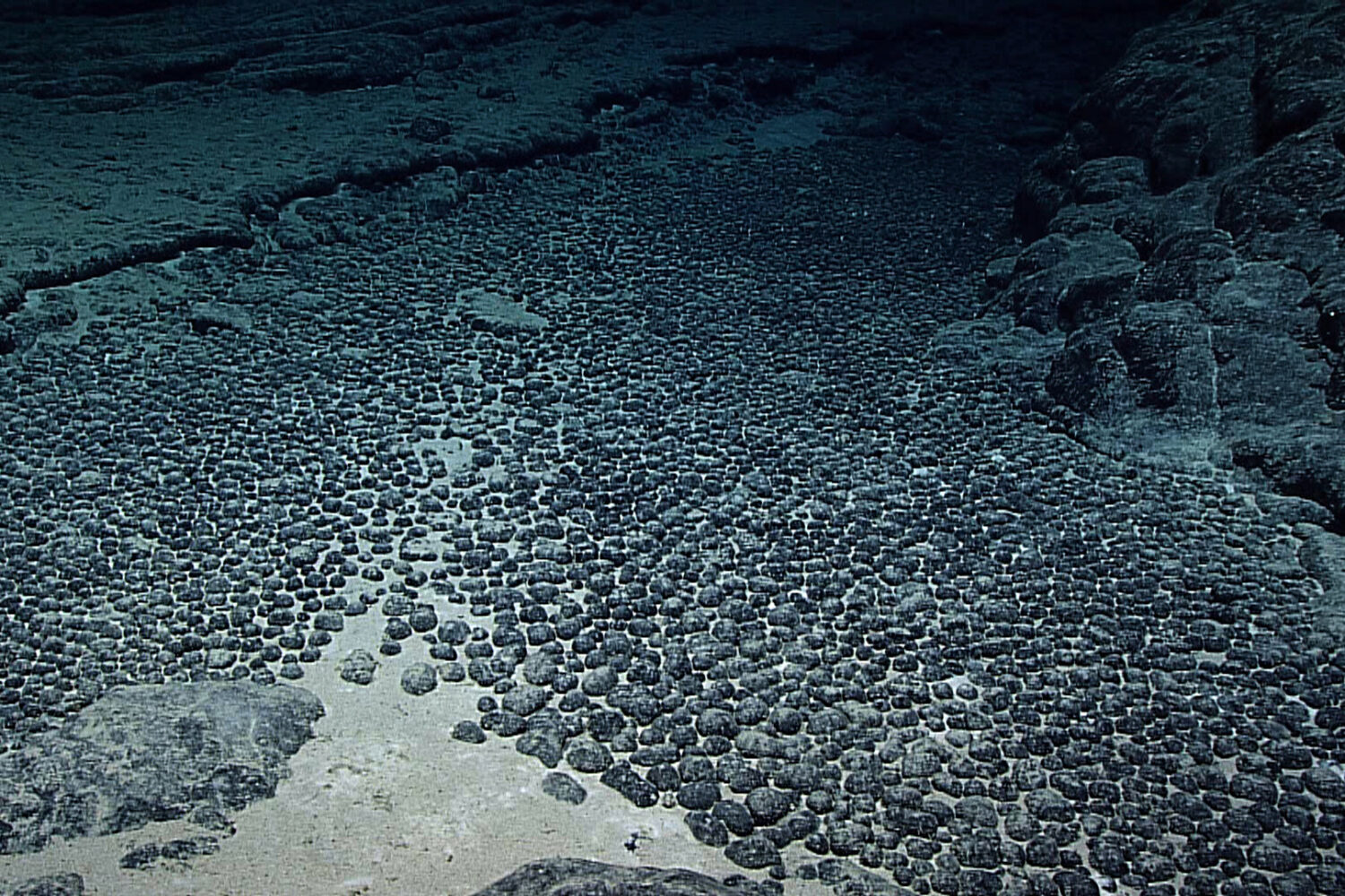 This photo provided by NOAA shows a field of manganese nodules in deep waters off of Hawaii during ...