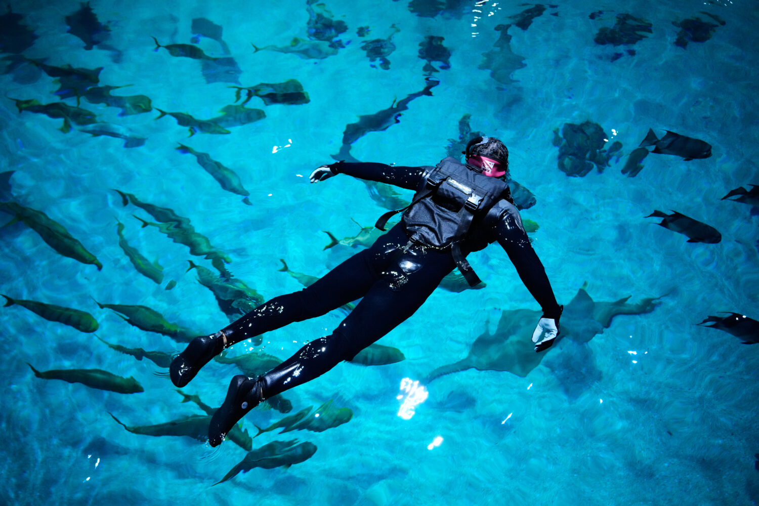 Lee Menzies, with the Wounded Warrior Project, swims at the Georgia Aquarium as a part of the Veter...