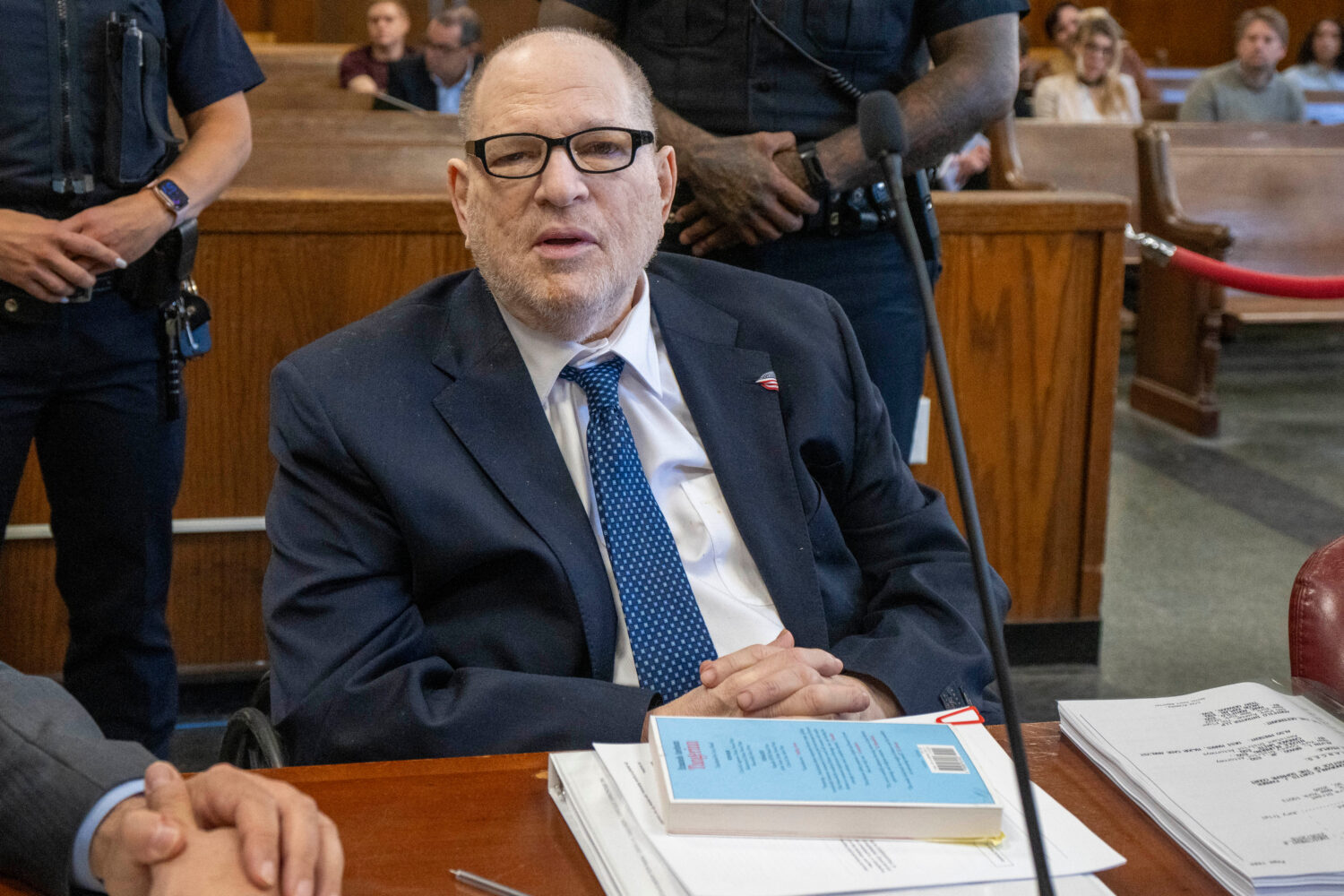 Harvey Weinstein appears in Manhattan criminal court on Friday, May 1, 2026, in New York. (Steven H...