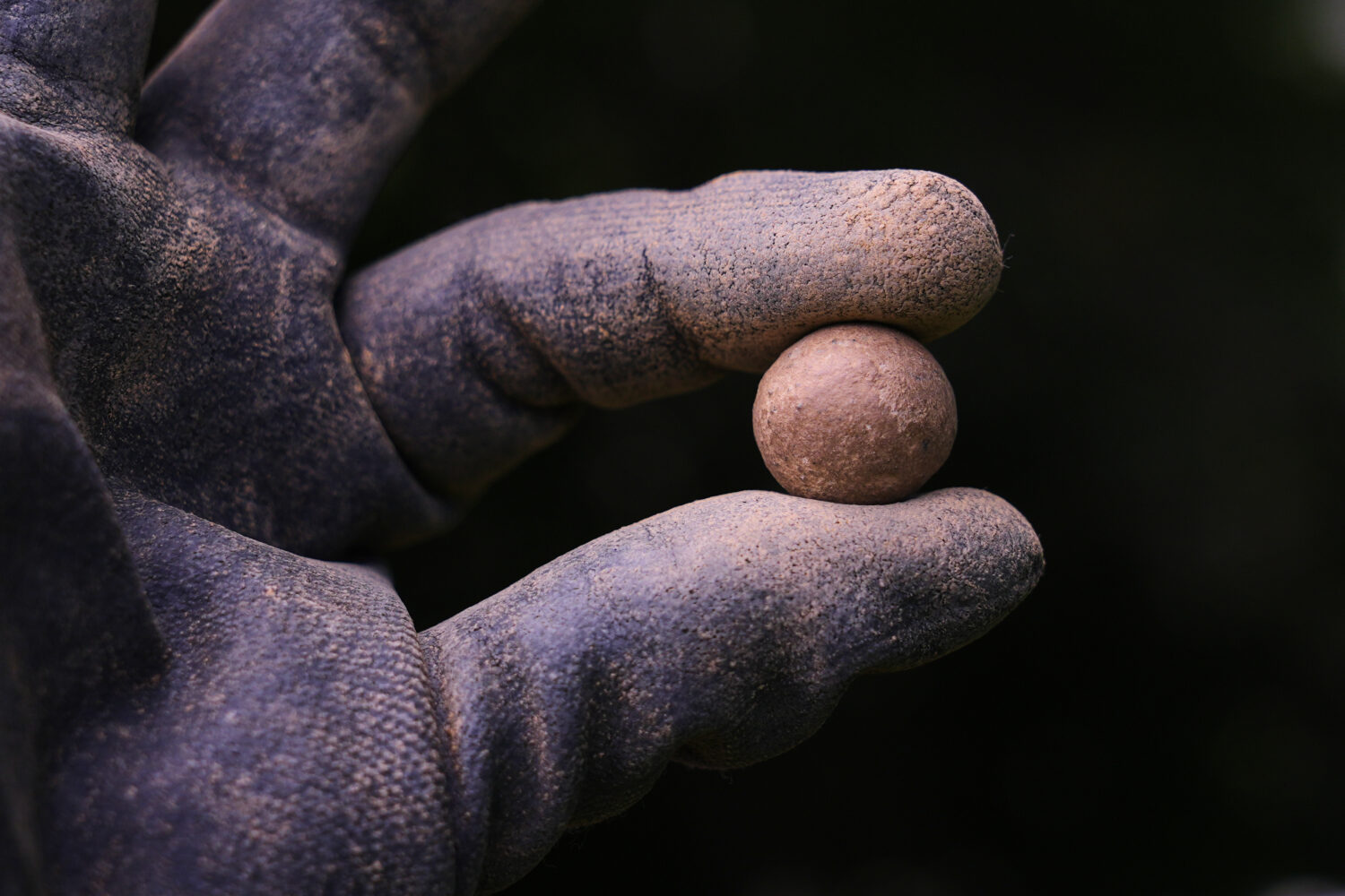 Calla Ruff, an intern from Carleton College, holds a musket ball that was removed from an archaeolo...