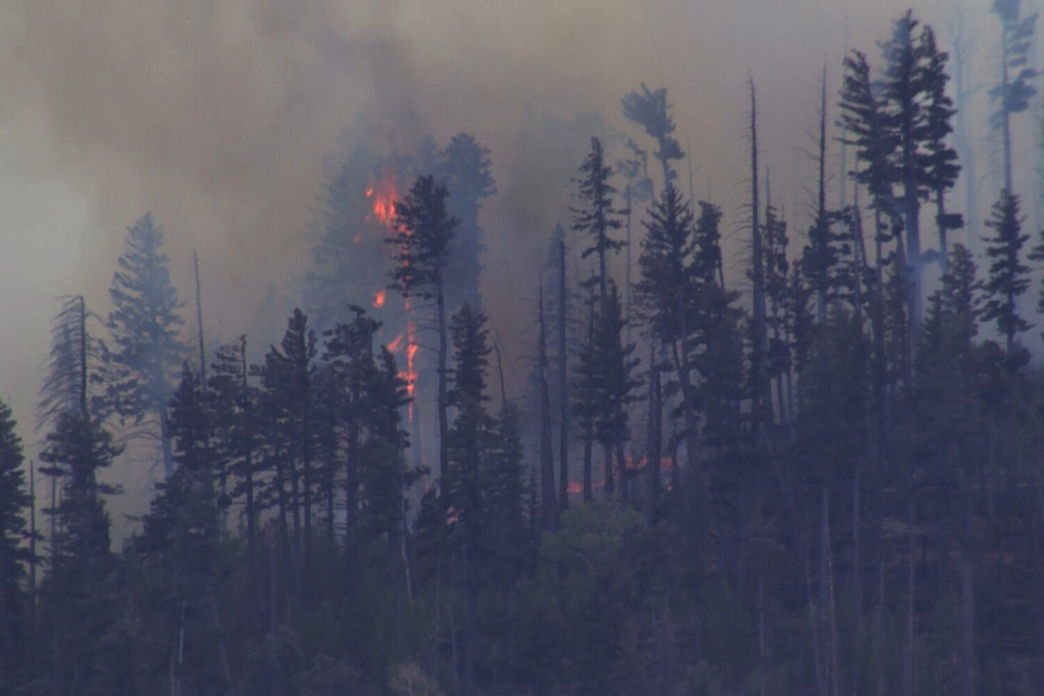 FILE - Smoke rises from a fire after a small medical plane crashed in a mountain range outside Ruid...