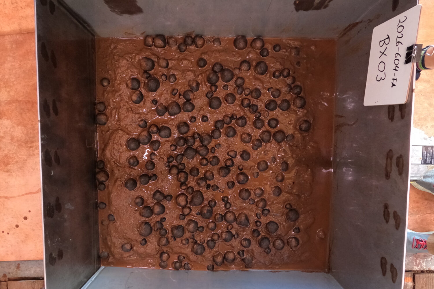 FILE - This photo provided by the U.S. Geological Survey shows polymetallic nodules in a sample fro...